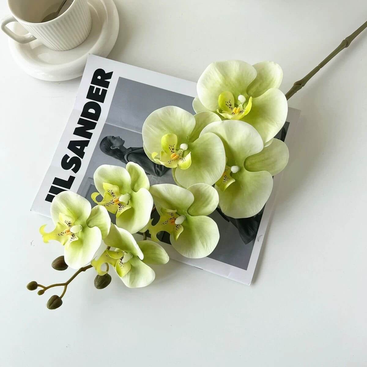 Real Touch Artificial Phalaenopsis Orchid and Vase