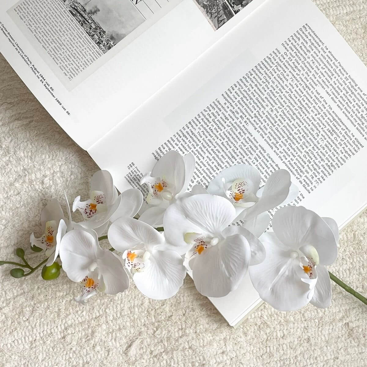 Real Touch Artificial Phalaenopsis Orchid and Vase